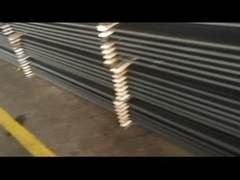 API 11B Grade D Ölfeld-Saugerstäbe 2ft 3ft 4ft 5ft 6ft Pony Rod