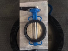 Versammlung des Brunnenkopfes