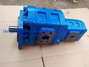 Hydraulische versenkbare Wasser-Pumpe XCMG XGMA, hydraulische Zahnradpumpe Liugong