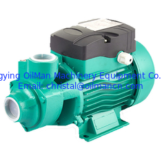 Beste Preis 1 Zoll 220 Volt Qb60 0,5 PS 0,75 PS 1 PS Hausgarten Elektromotor Wirbelwasserpumpe