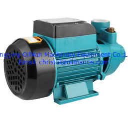 QB60 QB70 QB80 Kleine Votex-Wasserpumpe Saubere Wasserpumpen 0,5 PS 1 PS