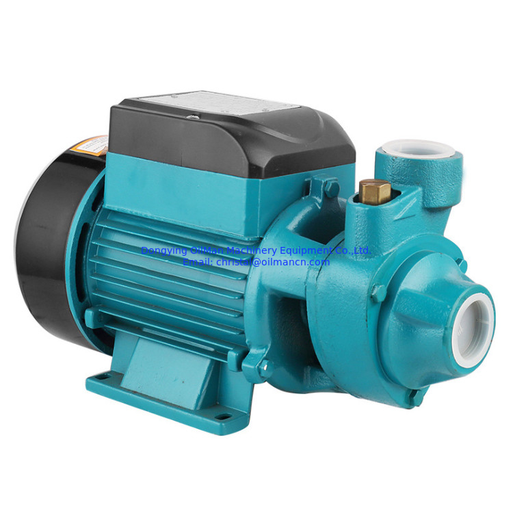 100% Kupferdraht 0,5 PS Hochdruckmotor QB60 elektrische Wasserpumpe